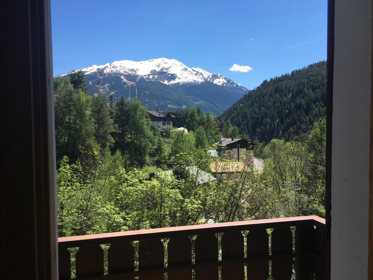 Hotel - Alpina Premadio